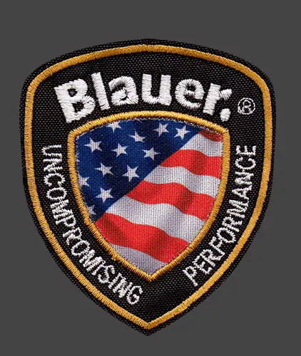 Blauer escudo