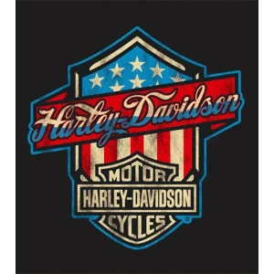 Parche Harley Davidson tela