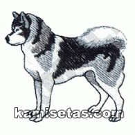 Parche Bordado Husky siberiano