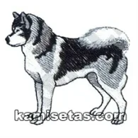 Parche Bordado Husky siberiano