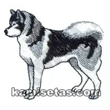 Parche Bordado Husky siberiano