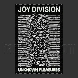 Parche Bordado Joy Division