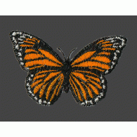 Parche Bordado Mariposa Monarca
