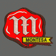 Parche Bordado Montesa II