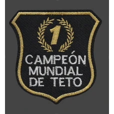 Parche Bordado teto