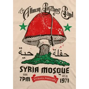 Camiseta Allman brothers-detalle