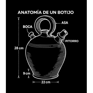 Camiseta Anatomia-de-un-botijo-detalle