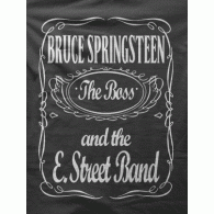 Camiseta Bruce Springsteen-detalle