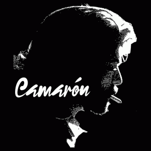 Camiseta Camaron-I-detalle
