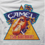 Camiseta Camel piramide-detalle
