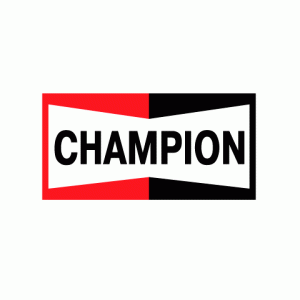Camiseta Champion-detalle