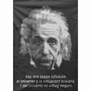 Camiseta Einstein-detalle