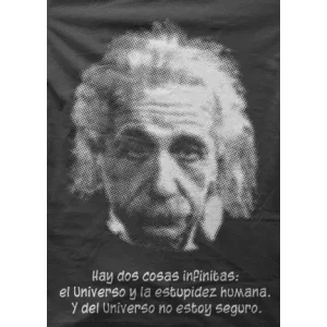 Camiseta Einstein-detalle