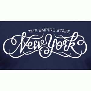 Camiseta Empire State NY-detalle