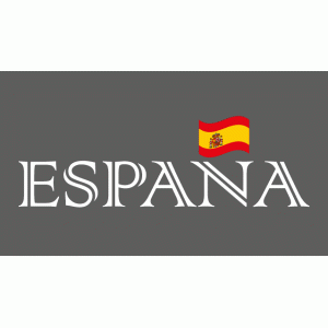 Camiseta España-detalle