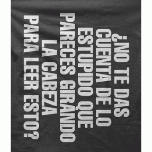 Camiseta Estupido-detalle