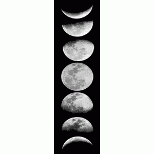 Camiseta Fases de la Luna-detalle