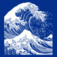 Camiseta Fuji wave-detalle