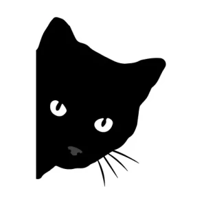 Camiseta Gato-Asomando-detalle