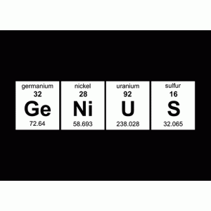 Camiseta Genius-detalle