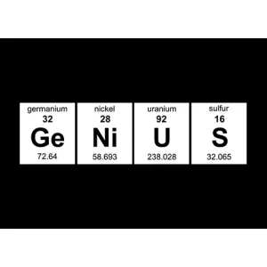 Camiseta Genius-detalle