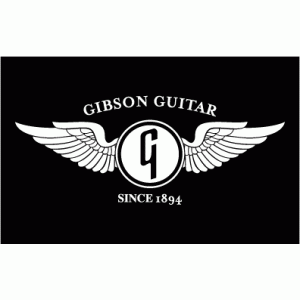 Camiseta Gibson Alas-detalle