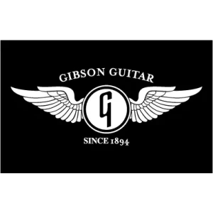 Camiseta Gibson Alas-detalle