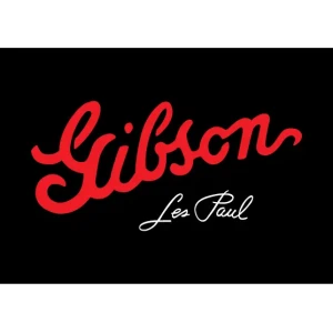 Camiseta Gibson les paul logo-detalle
