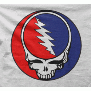 Camiseta Grateful Dead I-detalle