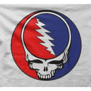 Camiseta Grateful Dead I-detalle