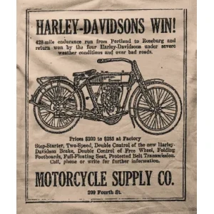 Camiseta Harley Davidsons-detalle