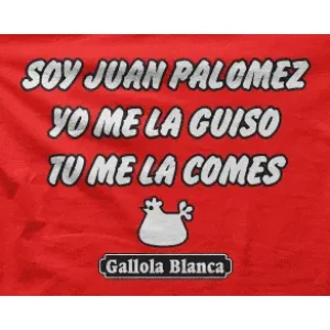 Camiseta Juan Palomez-detalle