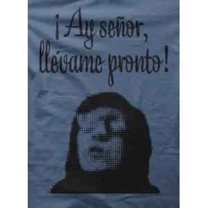 Camiseta La blasa-detalle