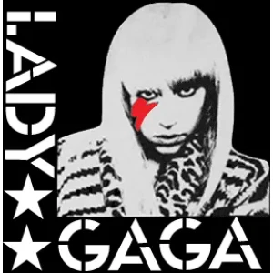 Camiseta Lady gaga-detalle