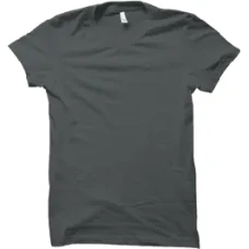 Camiseta Lisa Gris