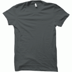 Camiseta Lisa Gris