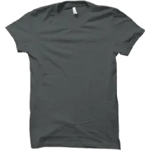 Camiseta Lisa Gris