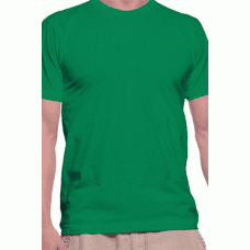 Camiseta Lisa-Irish-Green