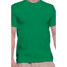 Camiseta Lisa-Irish-Green