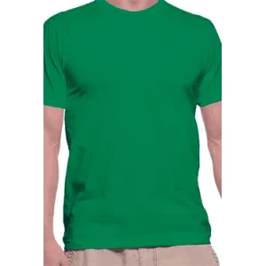 Camiseta Lisa-Irish-Green