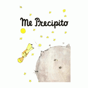 Camiseta Me-Precipito-detalle
