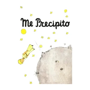 Camiseta Me-Precipito-detalle