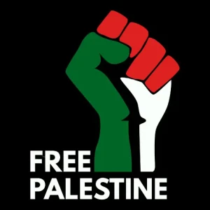 Camiseta Palestina-detalle
