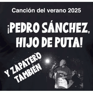 Camiseta Pedro Sanchez hdp-detalle