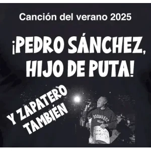 Camiseta Pedro Sanchez hdp-detalle