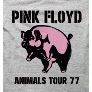 Camiseta Pink-floyd-pigs-detalle