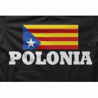 Camiseta Polonia-detalle
