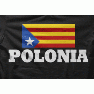 Camiseta Polonia-detalle