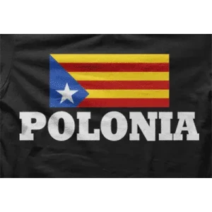 Camiseta Polonia-detalle