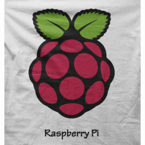 Camiseta Raspberry Pi-detalle